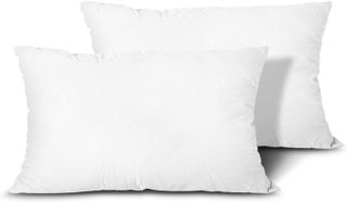 No. 10 - Quality Pillow Inserts - 1