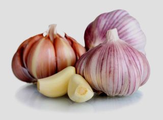 No. 1 - Country Creek Acres Garlic Bulbs - 1