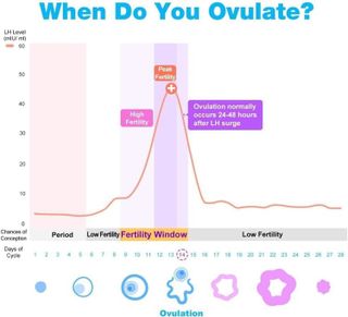 No. 6 - Easy@Home Ovulation Test Predictor Kit - 5