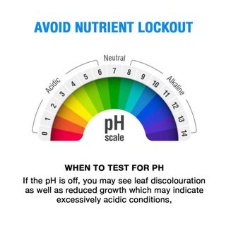 No. 7 - Microbe Life Hydroponics pH Down - 3