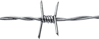 No. 7 - Real Barbed Wire - 2