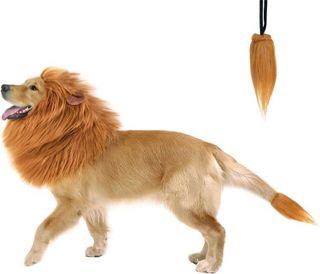 No. 8 - Dog Lion Mane Costume - 2