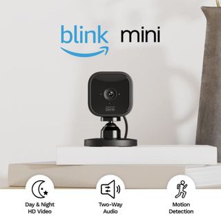 No. 1 - Blink Mini - 1