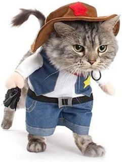 10 Best Pet Costumes for Cats and Dogs- 3