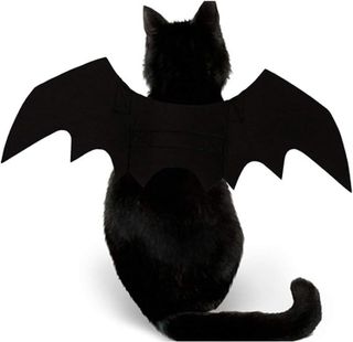 No. 3 - Bat Wings for Cats - 2