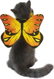 No. 9 - Cat Dog Butterfly Costume Wings - 1