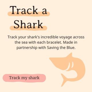 No. 10 - Fahlo Shark Tracking Bracelet - 3