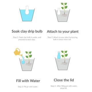 No. 8 - SmartiLiving Self-Watering Stakes - 3