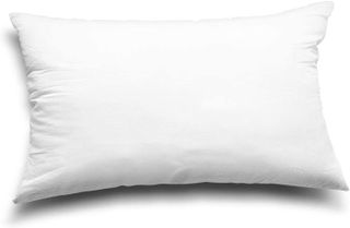 No. 10 - Quality Pillow Inserts - 4