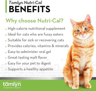 No. 5 - Tomlyn High Calorie Nutritional Gel for Cats - 2