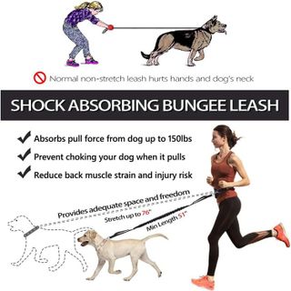 No. 3 - Hands Free Dog Leash Bungee Retractable Dog Running Waist Leash - 3