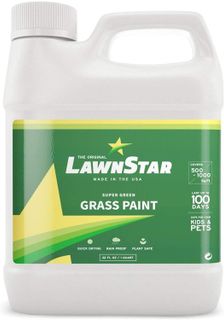 10 Best Grass Paint for Lawn Revival- 4