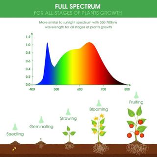 No. 9 - Briignite LED Grow Light Bulb - 3