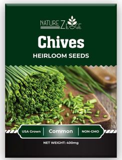 No. 6 - NatureZ Edge Herb Plants & Seeds - 3