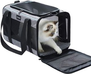 10 Best Pet Carriers for Traveling with Your Furry Friends- 1