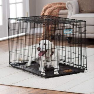 No. 8 - Precision Pet Two Door Provalue Wire Dog Crate - 2