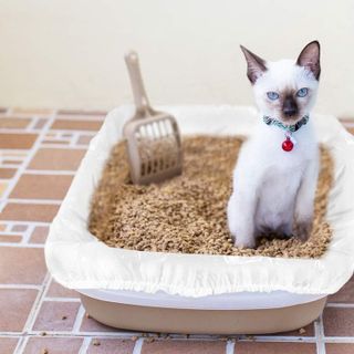 No. 10 - Alfapet Cat Litter Box Liners - 5