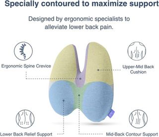 No. 10 - C Cushion Lab Lumbar Pillow - 3