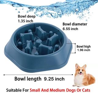 No. 5 - CAISHOW Slow Feeder Dog Bowl - 2