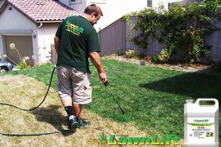 No. 7 - LawnLift Grass Paint - 3