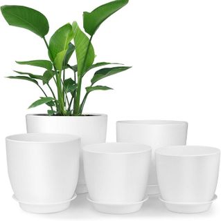 No. 2 - HOMENOTE Plastic Planters - 1