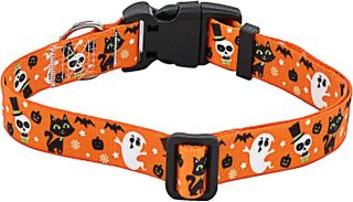 No. 7 - Halloween Dog Collar - 2