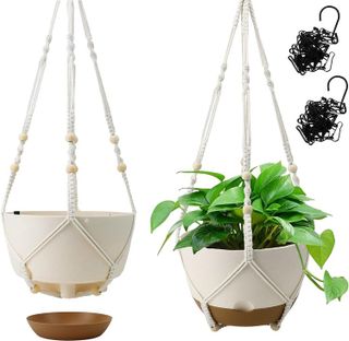 No. 8 - Koalaime Hanging Planter - 1