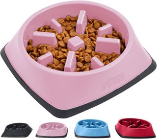 Top 10 Best Slow Feeders for Pets - Keep Your Pets Healthy and Happy- 1