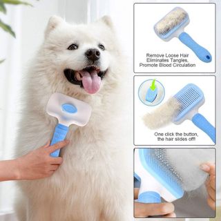 No. 7 - Blue Dog Brush - 3