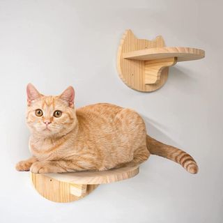 No. 4 - SHENGOCASE 5-Pack Cat Wall Steps Shelf Shelves - 2