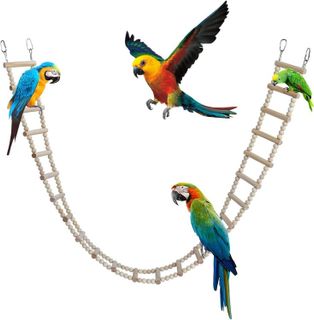 Top 10 Best Bird Ladders for Small and Medium Birds- 2