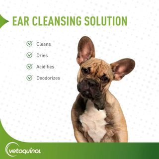 No. 9 - Vetoquinol Ear Cleansing Solution - 2