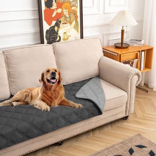 Top 10 Best Dog Bed Covers for Protecting Furniture- 2