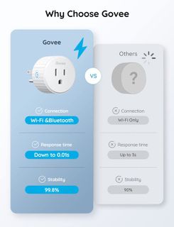 No. 9 - Govee Outlet Switch - 4