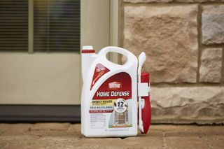 No. 6 - Ortho Home Defense Insect Killer for Indoor & Perimeter2 - 2