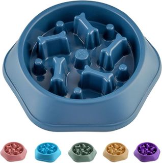 Top 10 Dog Slow Feeders for Healthy Eating Habits- 5