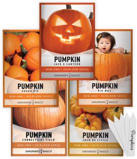 No. 6 - 5 Variety Pumpkin Seeds Pack - 1