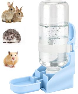 No. 3 - Rabbit Water Bottle - 1