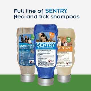 No. 4 - Sentry Oatmeal Flea and Tick Shampoo - 5