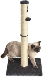 No. 10 - Amazon Basics Cat Scratching Post - 1