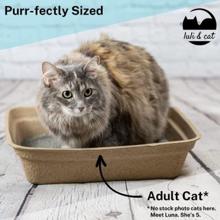 No. 2 - Luli & Cat Disposable Litter Boxes - 3