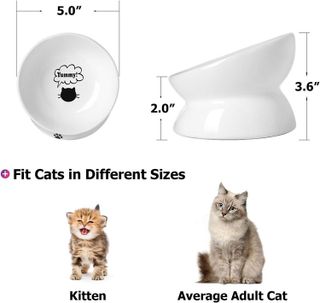 No. 7 - Y YHY Cat Bowl Anti Vomiting - 2