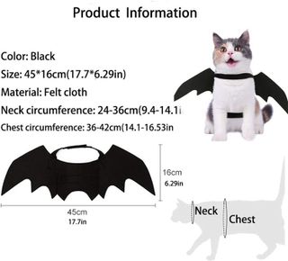 No. 3 - Bat Wings for Cats - 3