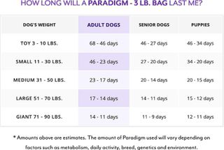 No. 4 - Dr. Harvey's Paradigm Green Superfood Dog Food - 5