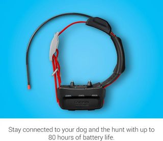 No. 7 - Garmin TT™ 15X Dog Tracking and Training Device - 3