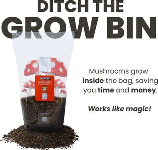 No. 3 - Mushroom Grow Bag - 5