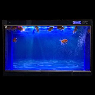 No. 5 - ELEBOX Aquarium Background - 3