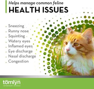 No. 10 - Tomlyn Immune Support Daily L-Lysine Supplement - 3