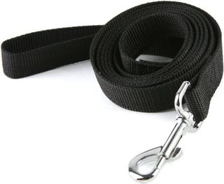 Top 10 Best Dog Leashes for Safe and Enjoyable Walks- 5