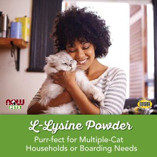 No. 8 - NOW Pet Health L-Lysine Supplement Powder - 4